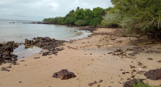 Plage de Maracapeba