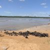 Plage des Coqueiros