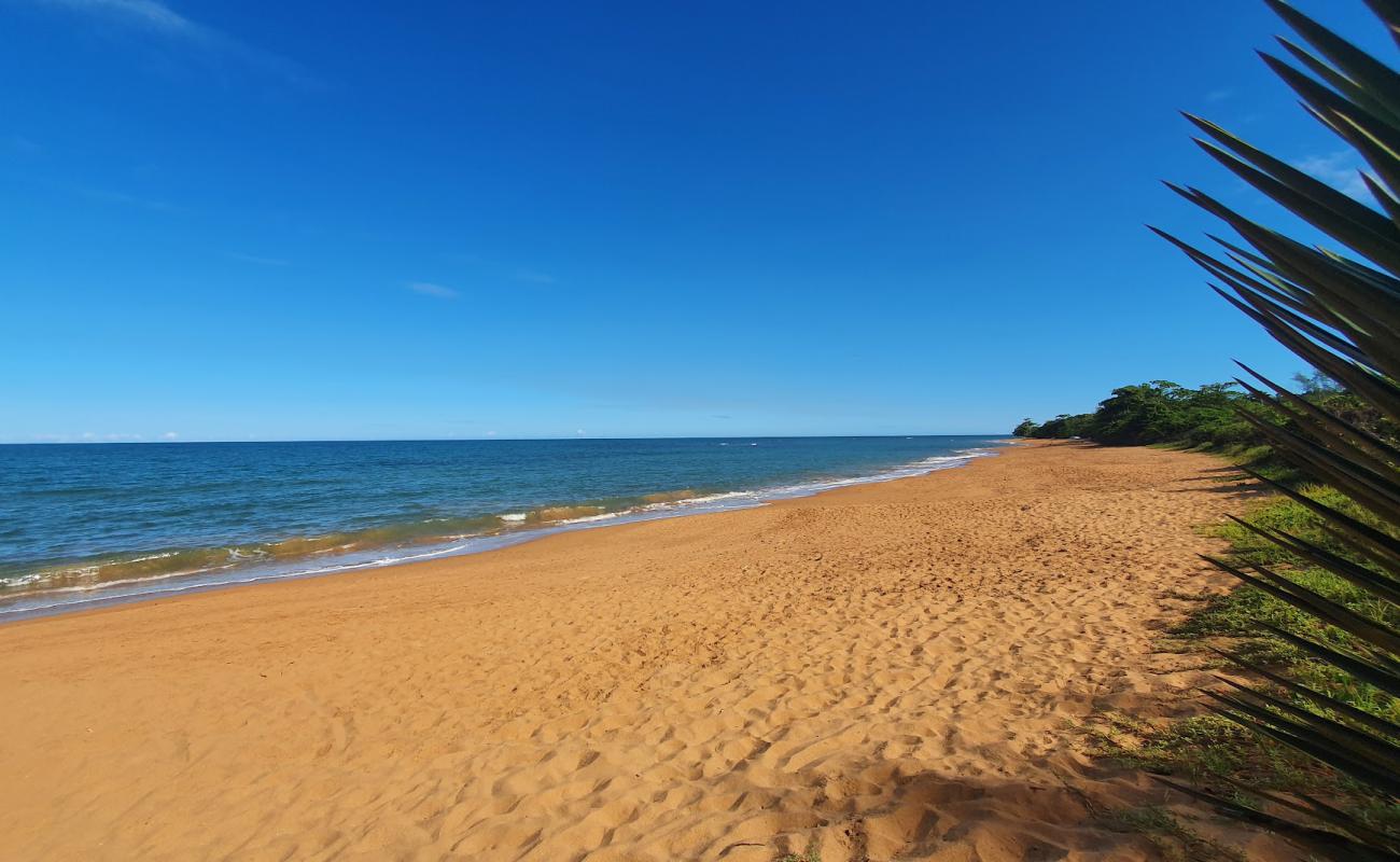 Photo de Plage de Putiri avec sable lumineux de surface