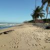 Plage de Coconut