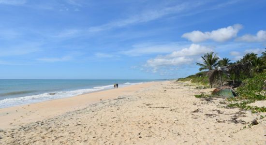 Plage d'amande