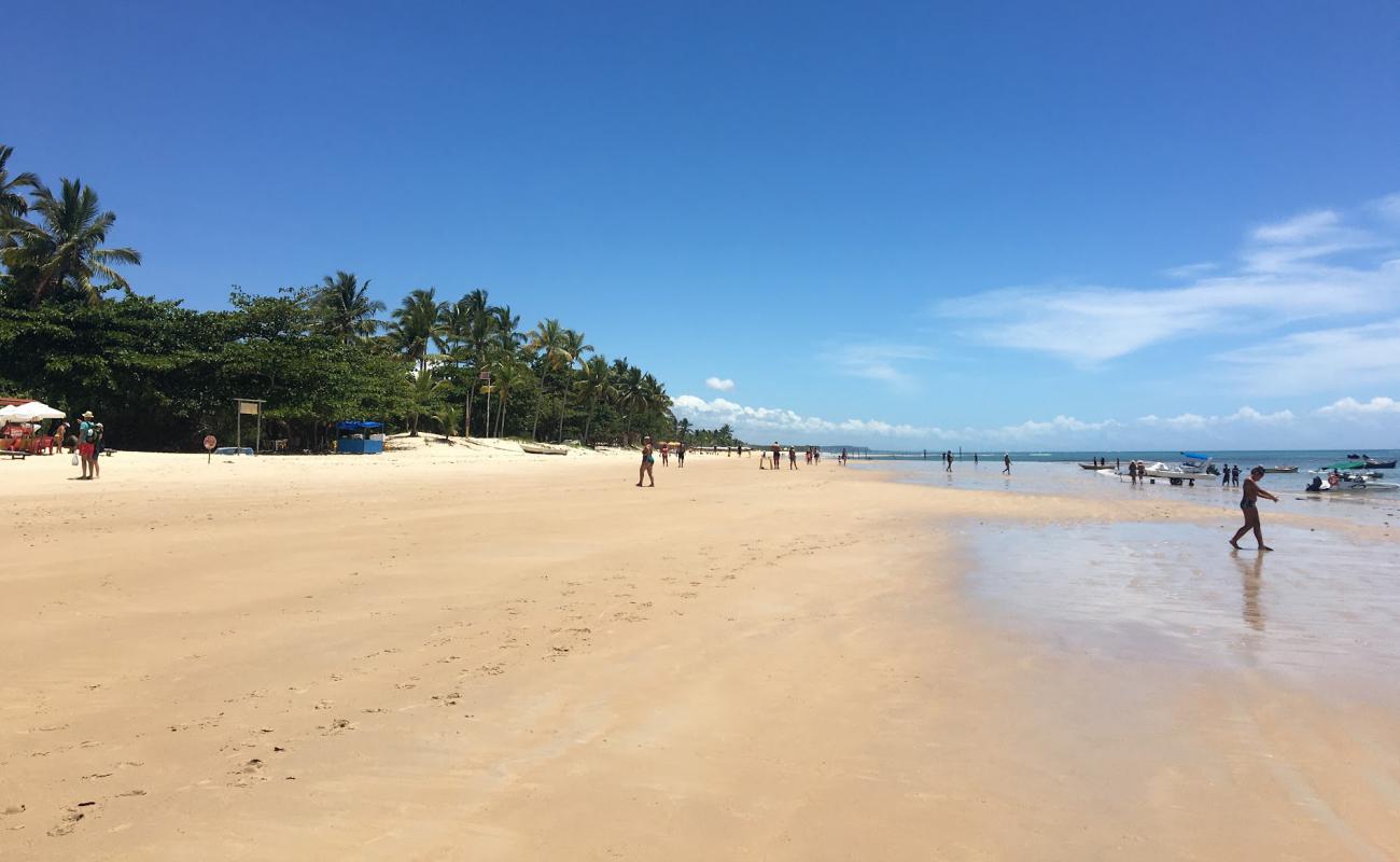 Photo de Plage de Coqueiros avec sable fin et lumineux de surface