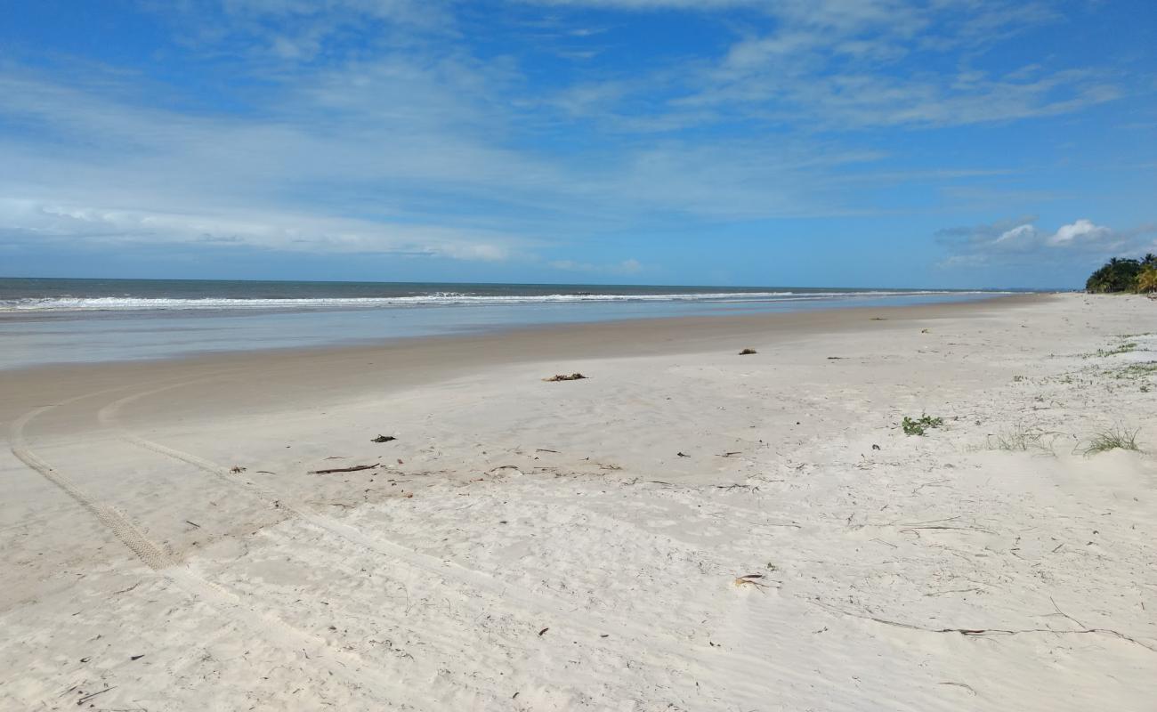 Photo de Praia de Mamoa avec sable fin et lumineux de surface