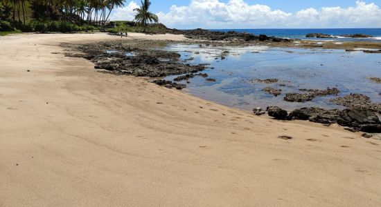 Praia da Arruda