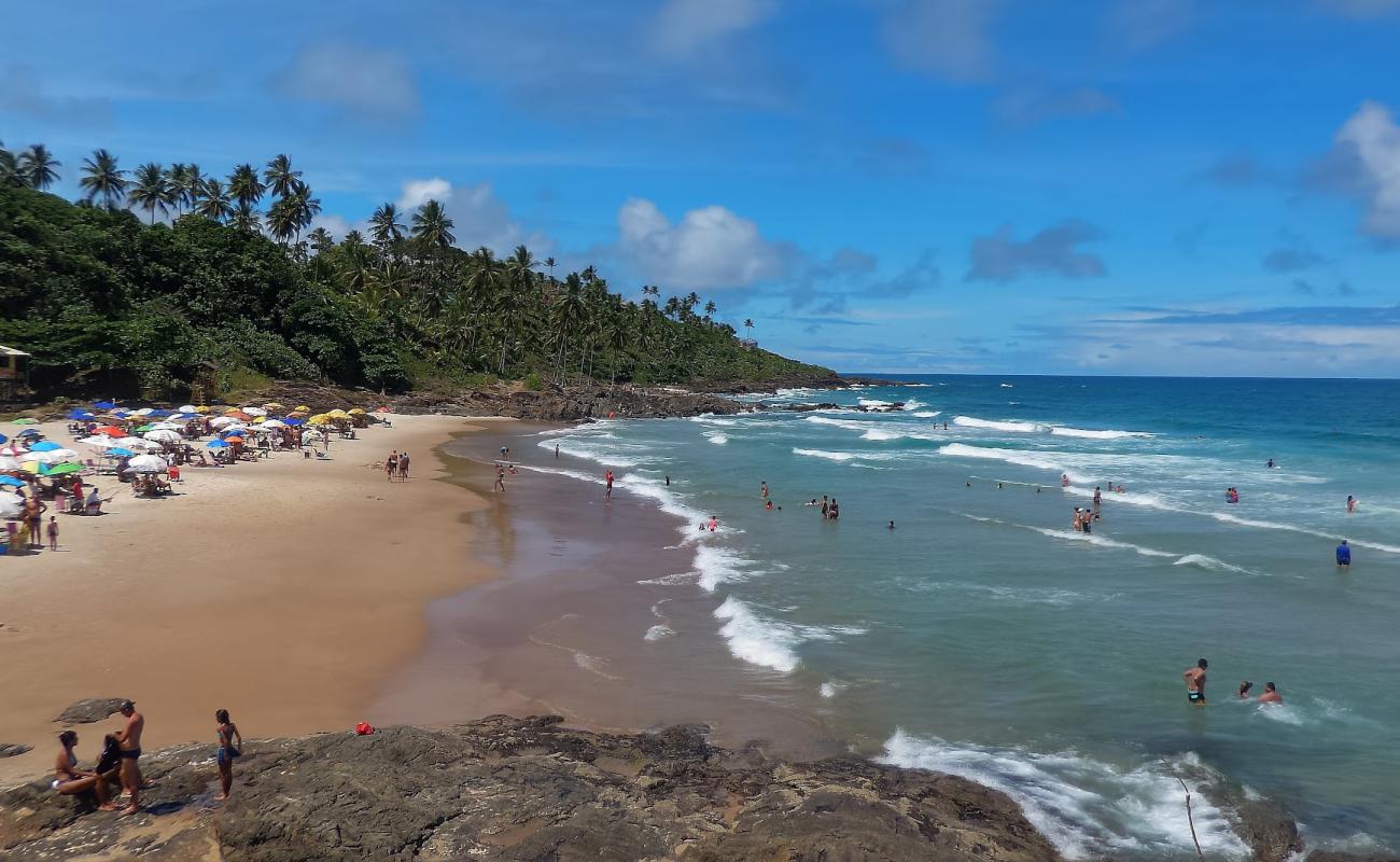 Photo de Praia da Tiririca avec sable beige fin de surface