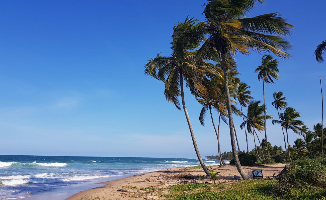 Photo de Praia de Bombasa avec sable fin et lumineux de surface