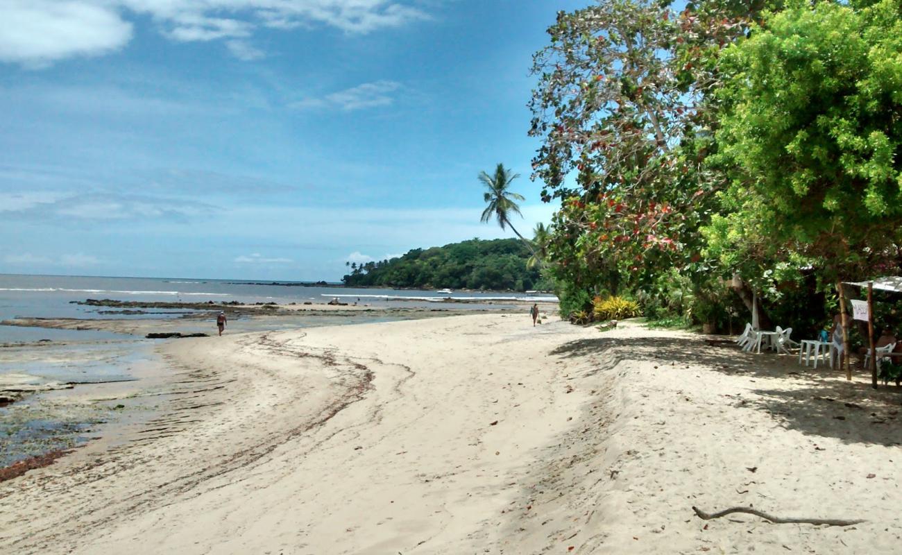 Photo de Praia de Ilha de Boipeba avec sable lumineux de surface