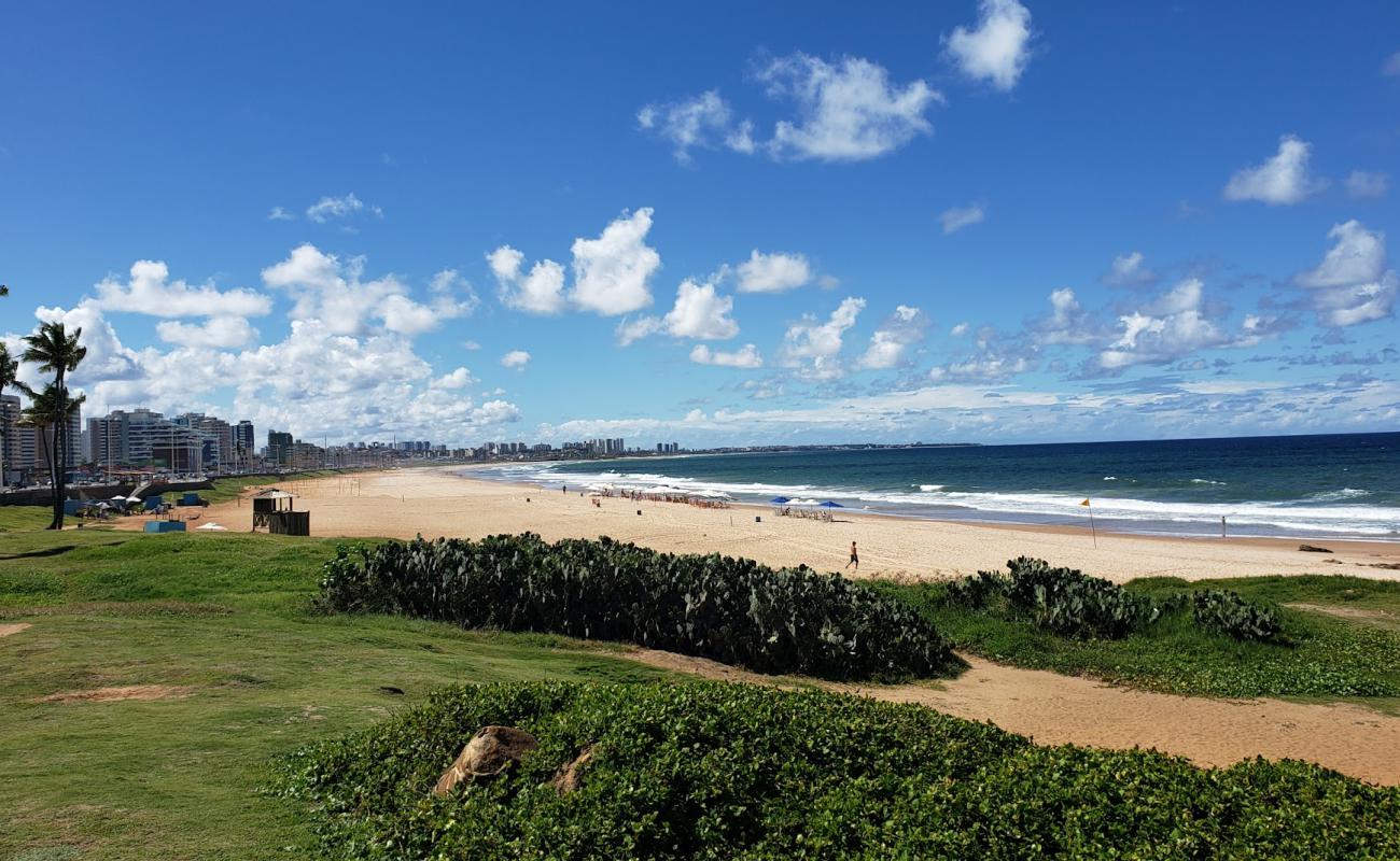 Photo de Praia de Armacao avec sable lumineux de surface