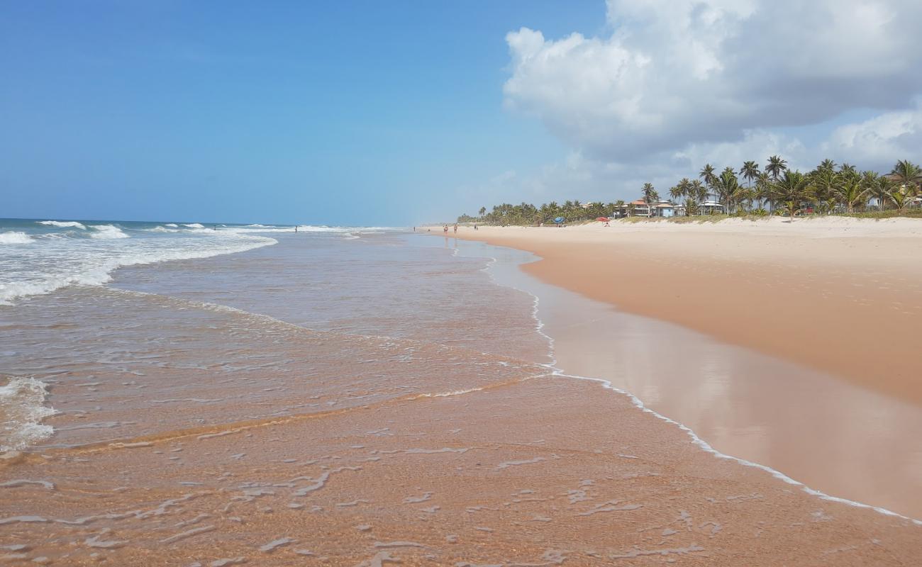 Photo de Praia do Caribinho avec sable lumineux de surface