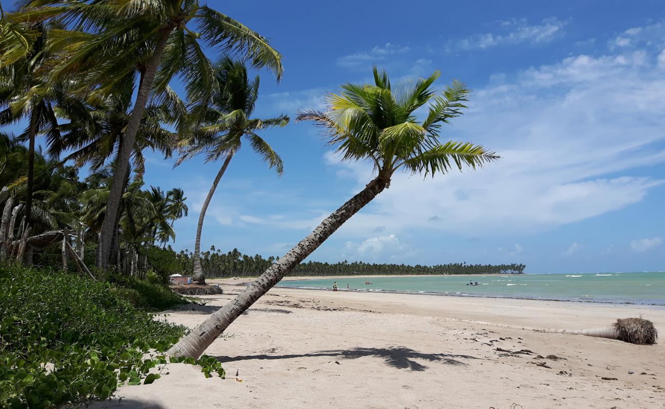 Photo de Praia do Patacho avec sable beige de surface