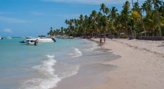 Plage de Carneiros