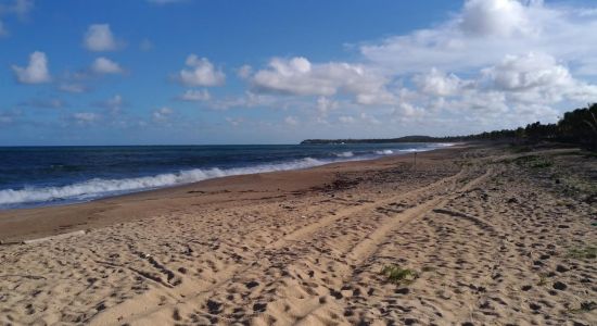 Praia do Guaiamum