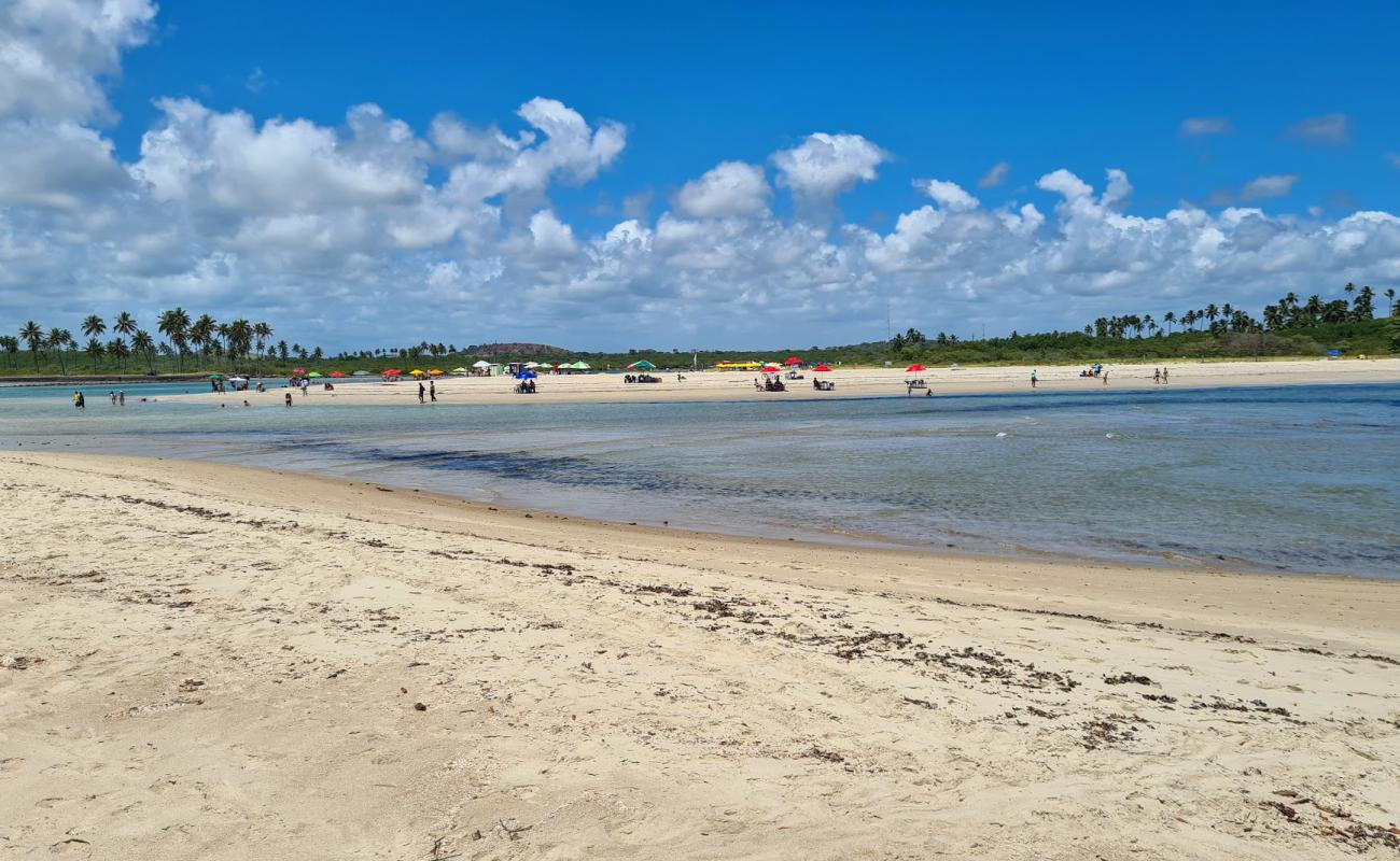 Photo de Plage de Pontal de Maracaipe avec sable lumineux de surface