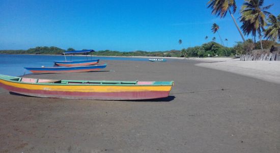 Plage de Rio Mamanguape