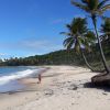 Plage de Coqueirinho Nord