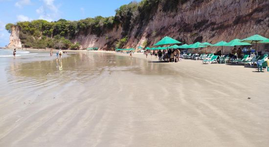 Plage Baia dos Golfinhos Pipa