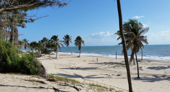 Plage de Pico das Almas