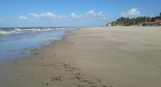 Praia do Panaquatira