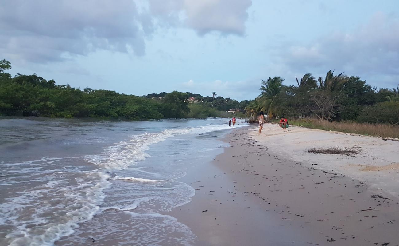 Photo de Praia da Guia avec sable lumineux de surface