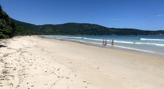 Plage de Lopes Mendes