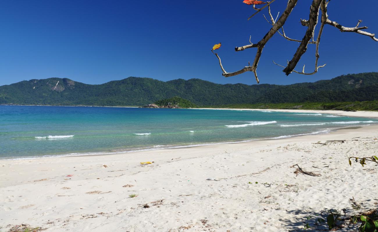 Photo de Praia do Leste avec sable fin et lumineux de surface