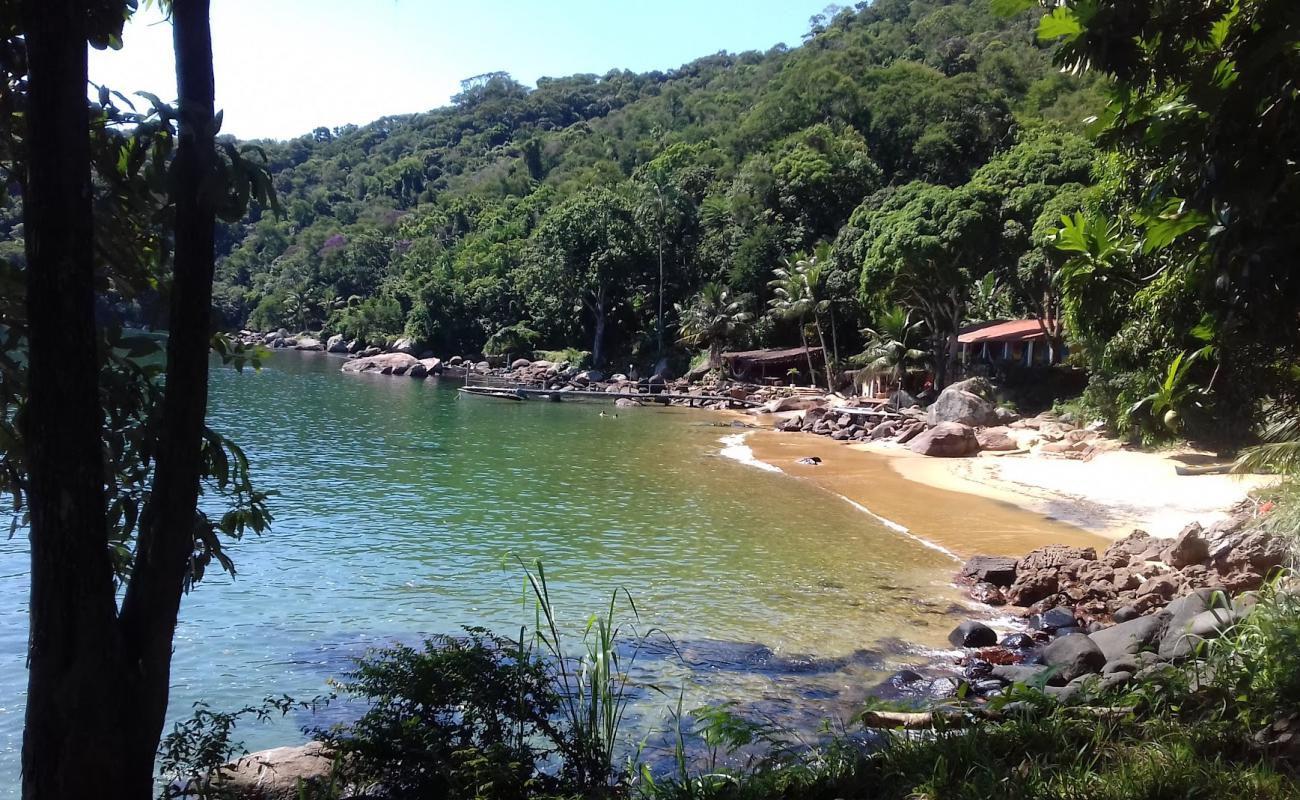 Photo de Waterfall Beach avec sable beige de surface