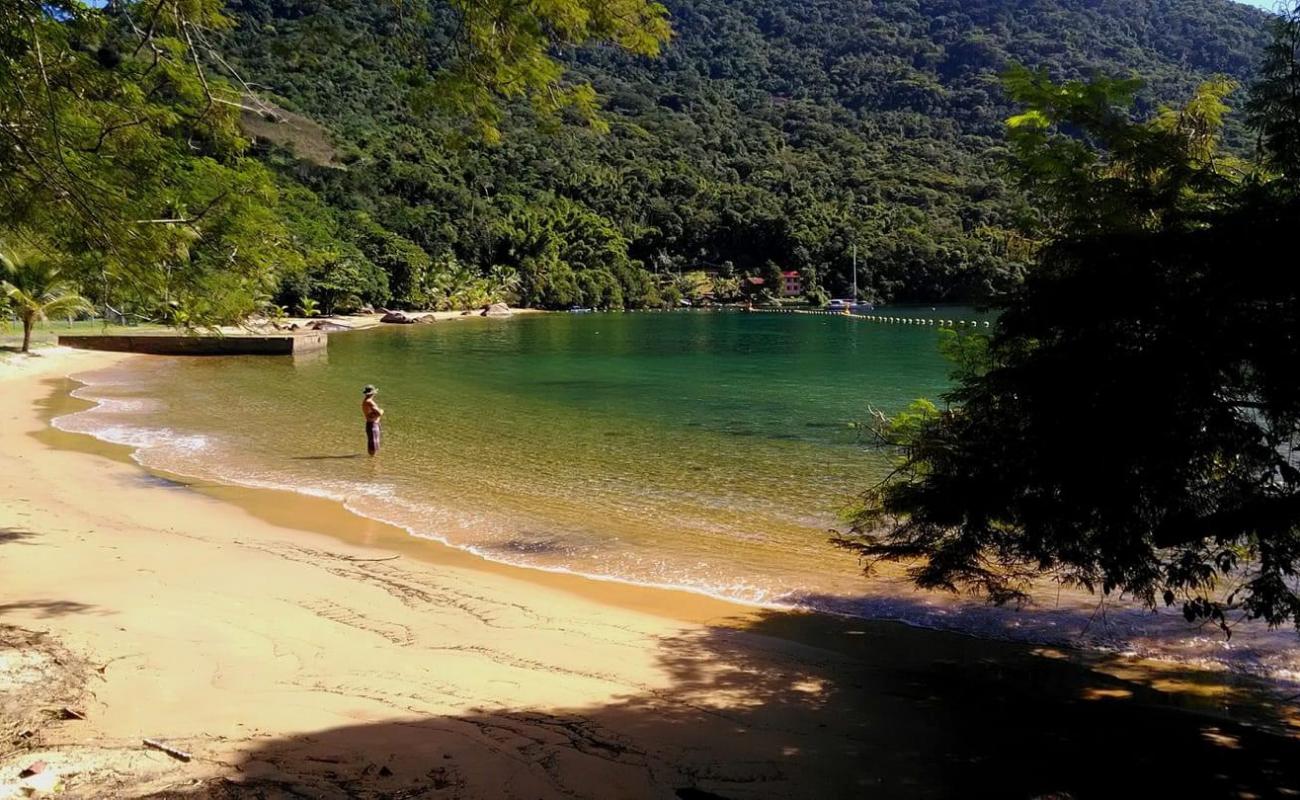 Photo de Praia da Longa avec sable beige de surface