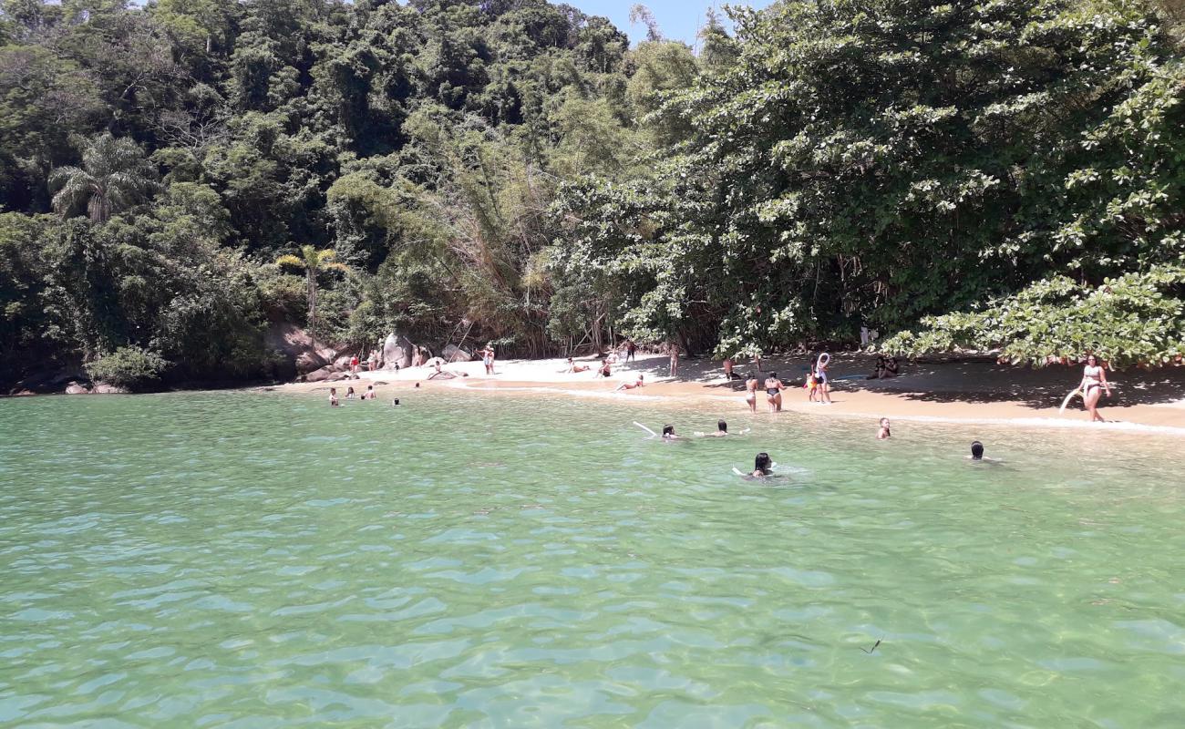 Photo de Whale Beach avec sable beige de surface