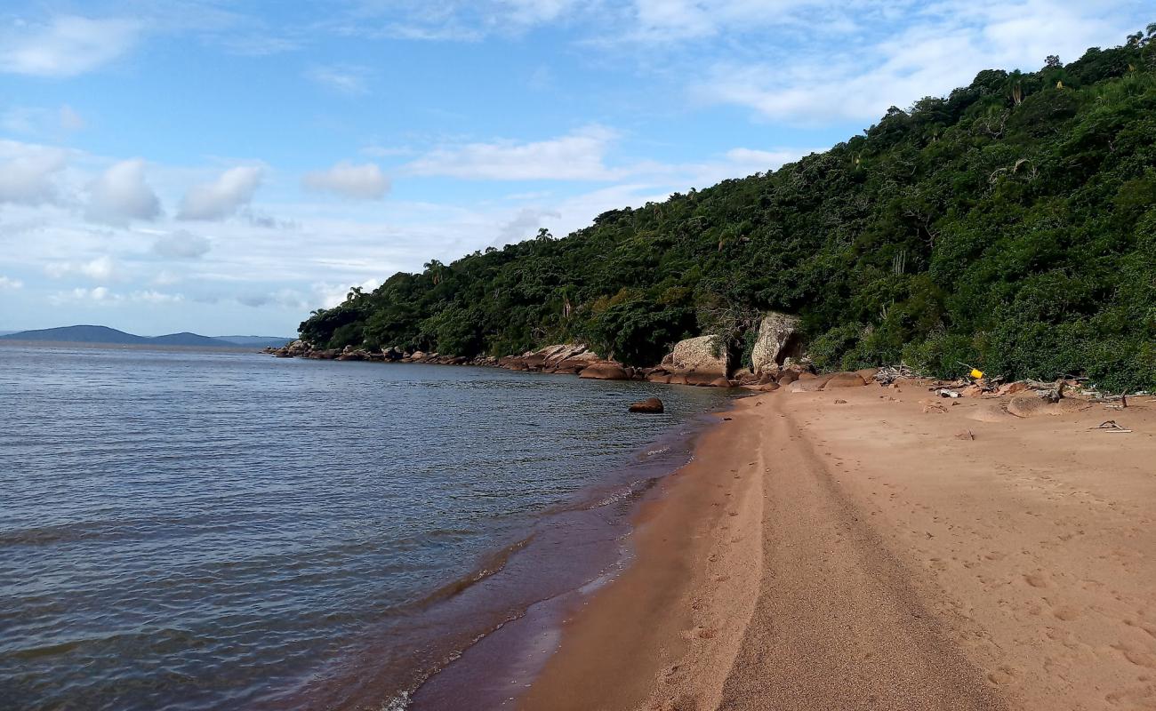 Photo de Praia da Onca avec sable beige de surface