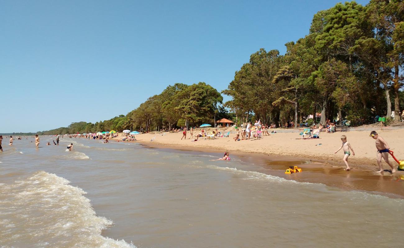 Photo de Arambare Beach avec sable lumineux de surface