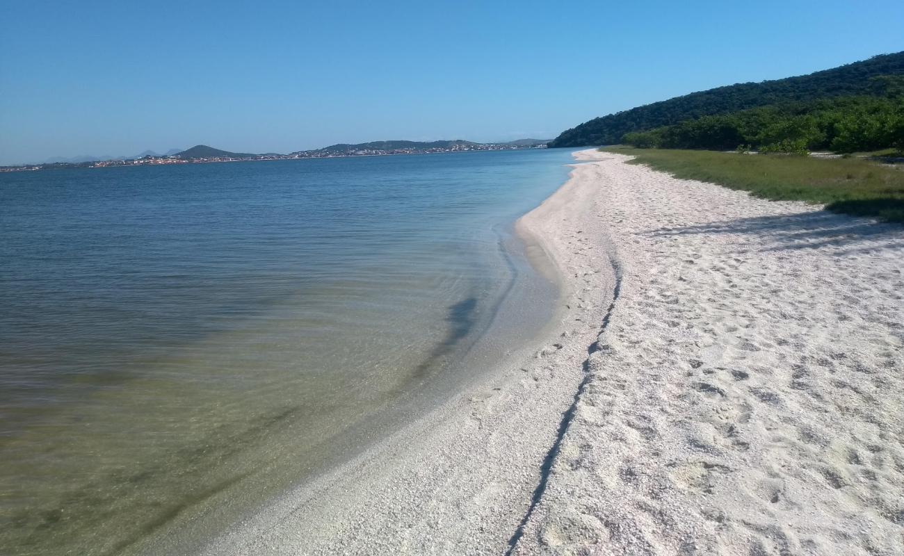 Photo de Ponta da Farinha avec sable coquillier lumineux de surface