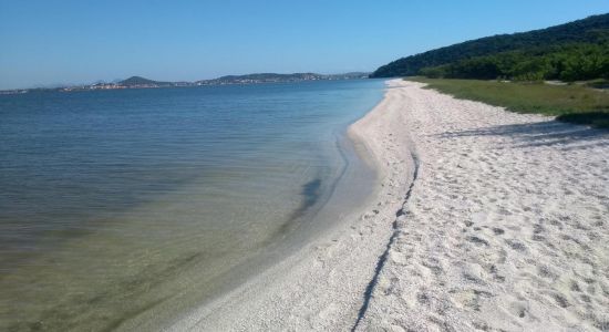 Ponta da Farinha