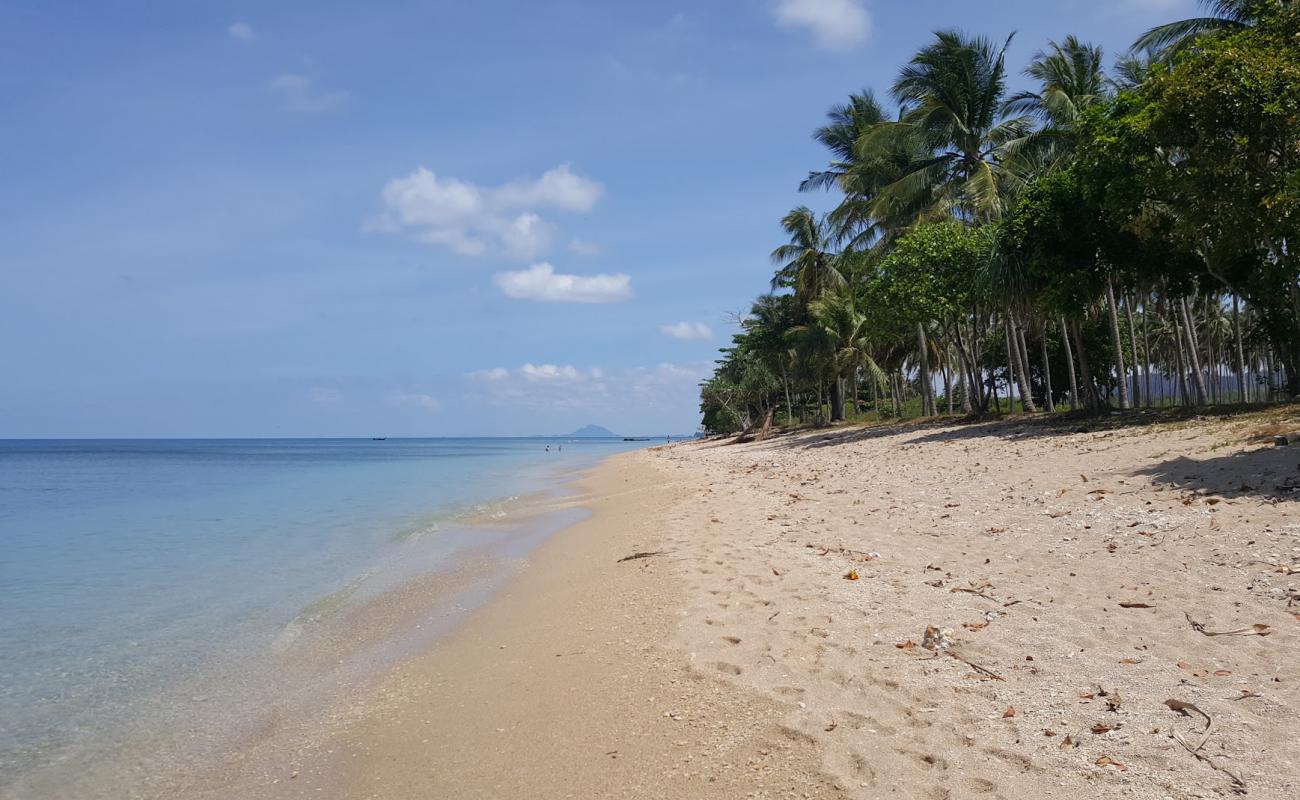 Photo de Coconut Palm Beach avec sable beige de surface