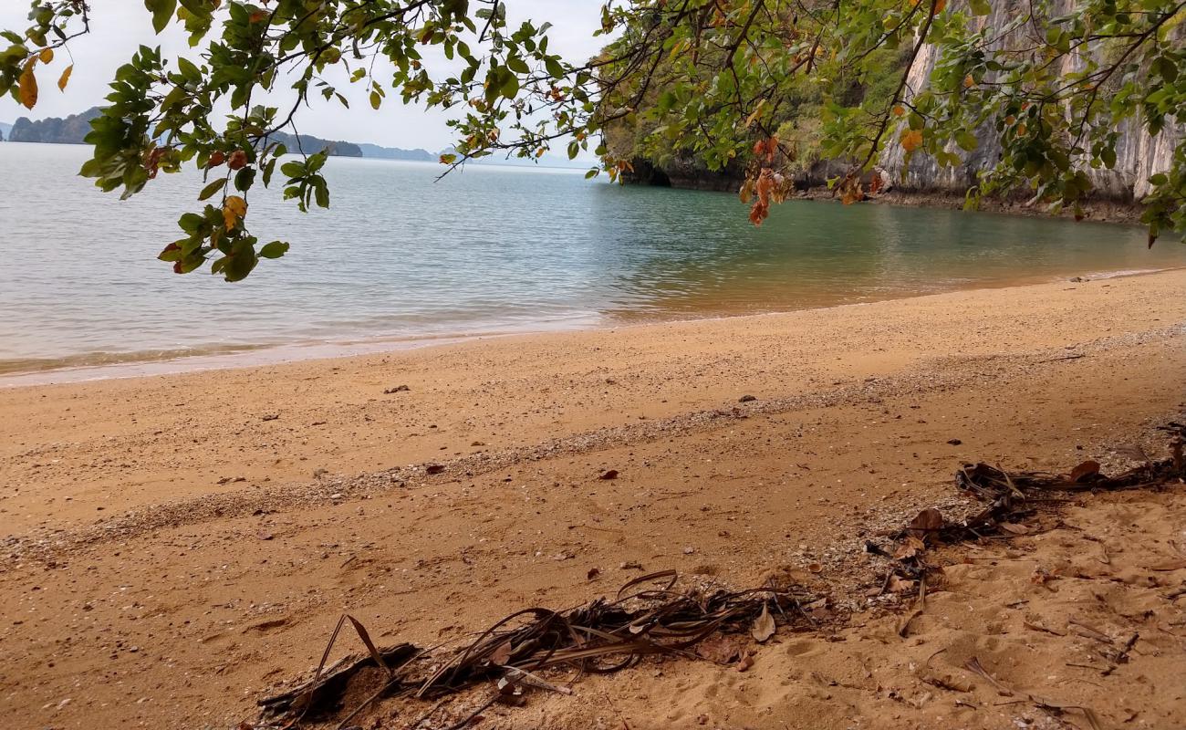 Photo de Tamarind bay Beach avec sable lumineux de surface