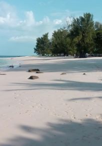 Île de Koh Bulon Pai