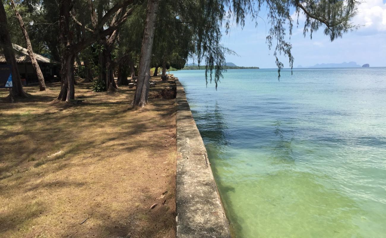 Photo de Ko Libong Beach avec sable beige de surface