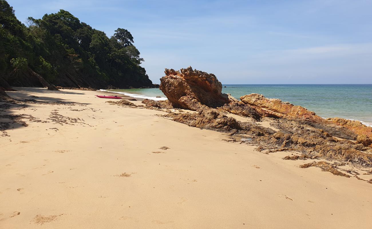 Photo de Abalone Beach avec sable beige de surface