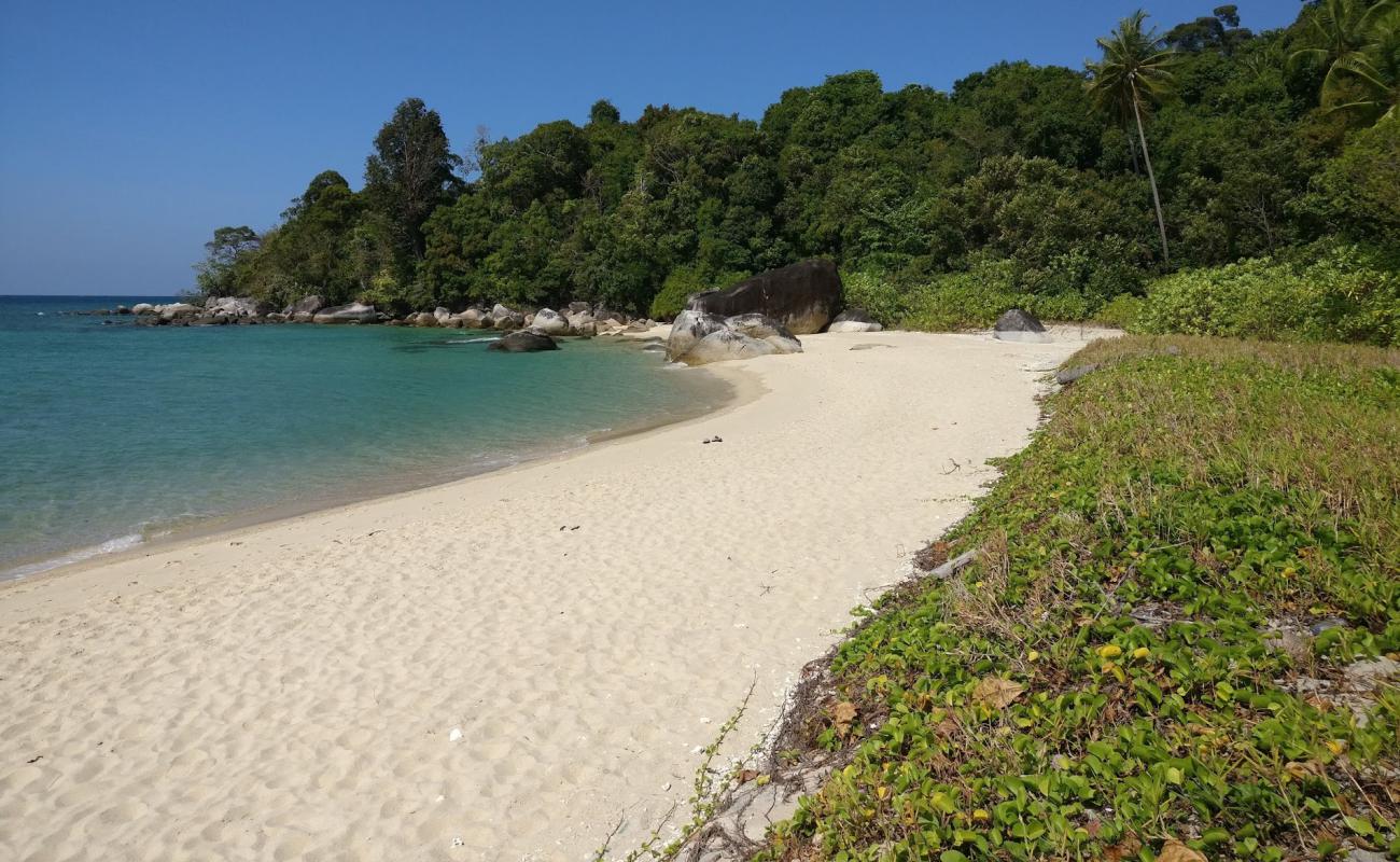 Photo de Koh Adang Resort Beach avec sable fin et lumineux de surface