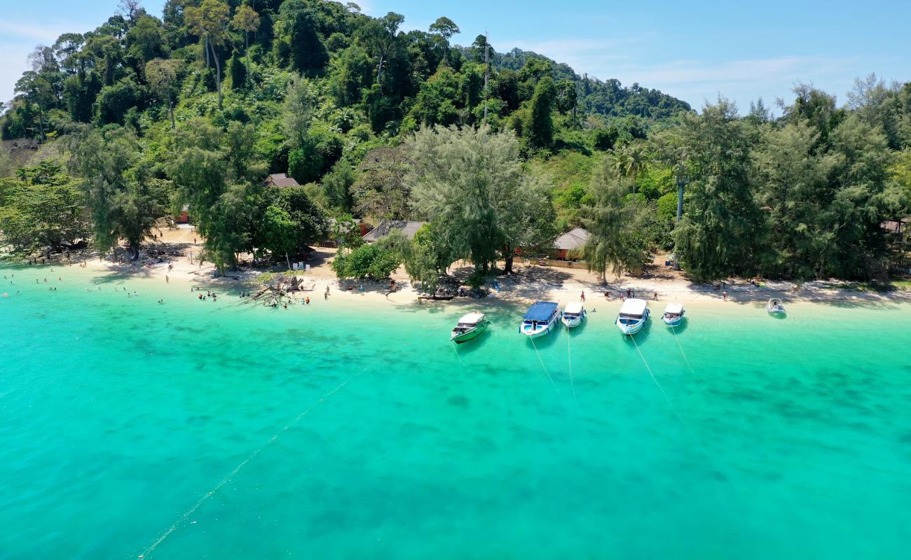 Photo de Koh Kradan Beach avec sable blanc de surface