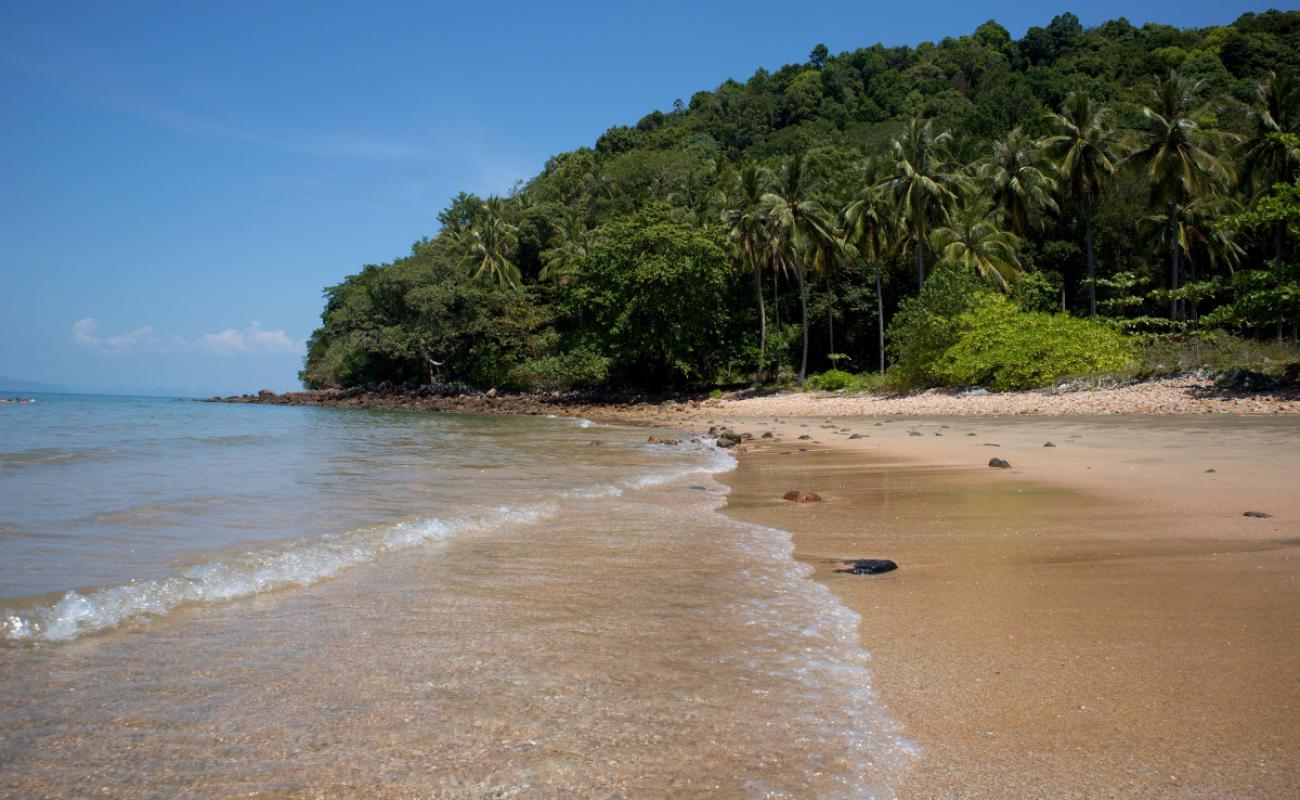 Photo de Coconut Beach avec sable noir & galets de surface