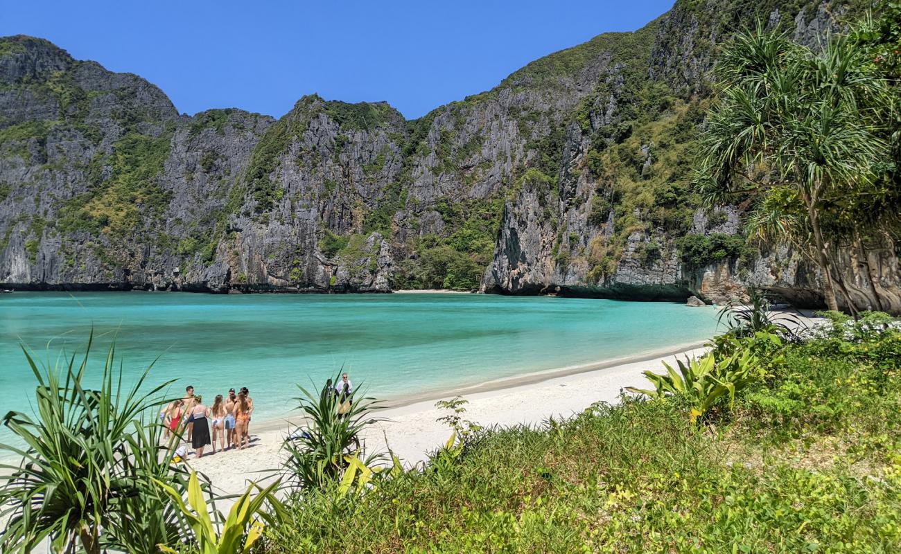 Photo de Plage de Maya Bay avec sable fin blanc de surface