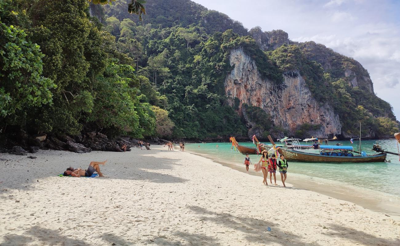 Photo de Plage de Monkey avec sable fin blanc de surface
