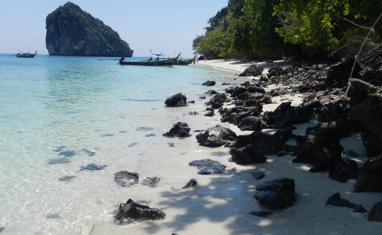 Photo de Chicken island Beach II avec sable fin et lumineux de surface