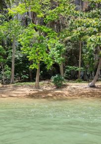 Province de Krabi
