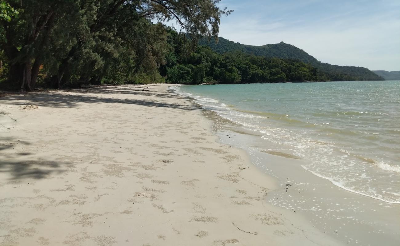 Photo de Son Bay Beach avec sable lumineux de surface