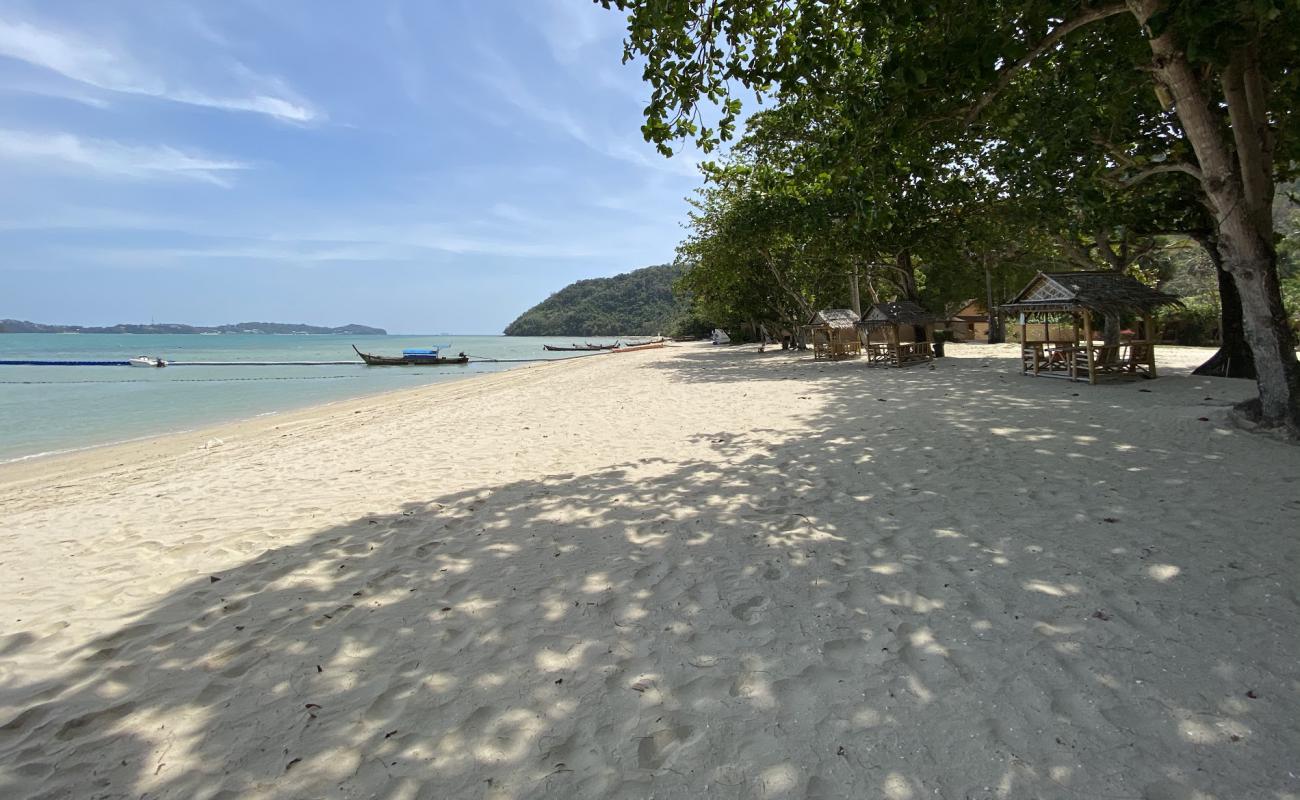 Photo de Cruiser Beach avec sable beige fin de surface