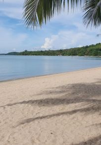 Coconut Island