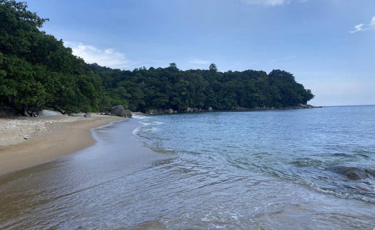 Photo de Natural Beach avec sable lumineux de surface