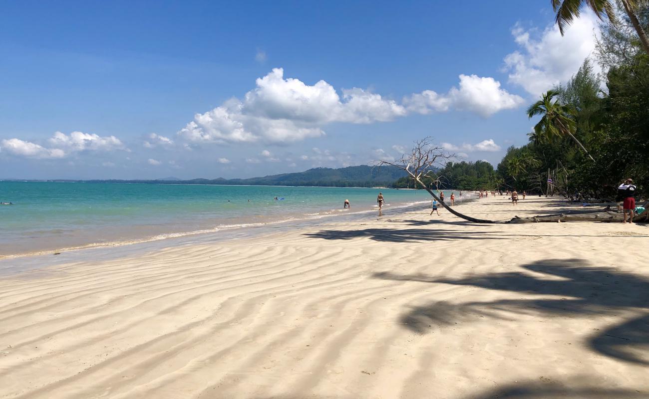 Photo de Plage de noix de coco avec sable fin et lumineux de surface