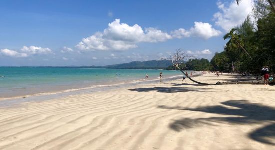 Plage de noix de coco